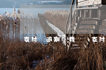 支付寶逾期說我騙貸(支付寶貸款逾期了)