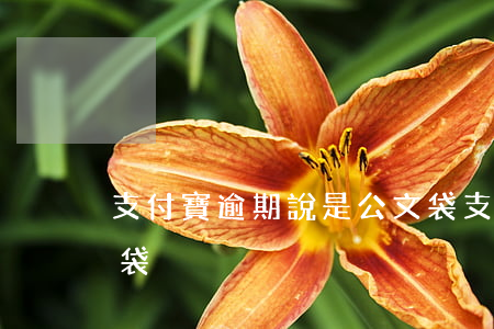 支付寶逾期說是公文袋（支付寶逾期說是公文袋）