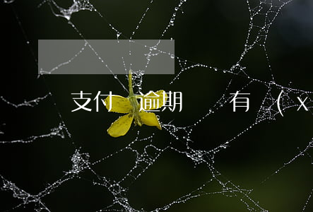 支付寶逾期說沒有協(xié)商