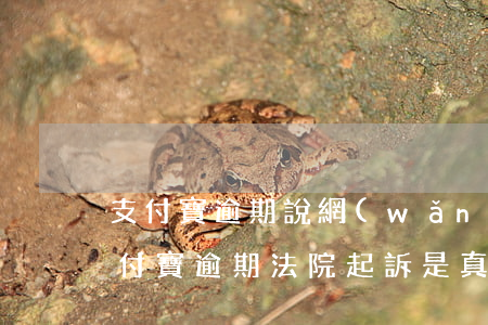 支付寶逾期說網(wǎng)上立案開庭(支付寶逾期法院起訴是真的嗎)