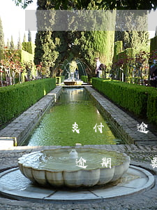 支付寶逾期說聯(lián)系村委(支付寶逾期說要聯(lián)系村委會)