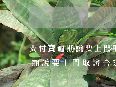 支付寶逾期說要上門取證合法不-支付寶逾期說要上門取證合法不