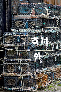 支付寶逾期說要上門外訪(支付寶逾期說是要外訪)