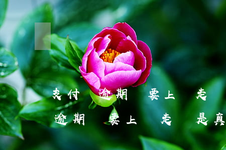 支付寶逾期說要上門走訪(欠支付寶3000逾期說要上門走訪是真的嗎)