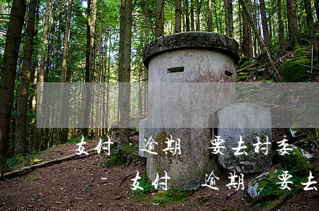 支付寶逾期說要去村委會核實(shí)情況-支付寶逾期說要去村委會核實(shí)情況是真的嗎