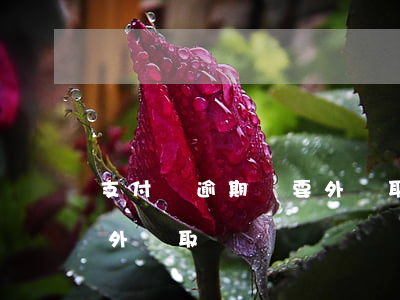 支付寶逾期說要外訪取證-支付寶逾期說要外訪取證