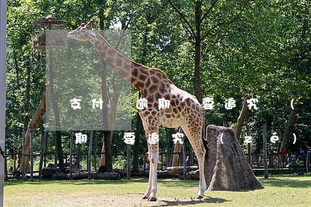 支付寶逾期說要追究責(zé)任（支付寶逾期說要追究責(zé)任）