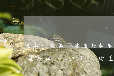 支付寶逾期說要通知村委會(支付寶逾期還要通知社區(qū)街道嗎)