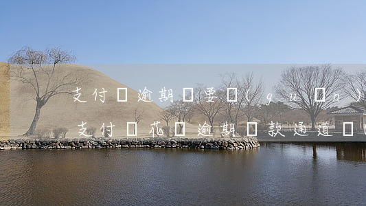 支付寶逾期說要關(guān)閉還款通道 支付寶花唄逾期還款通道關(guān)閉