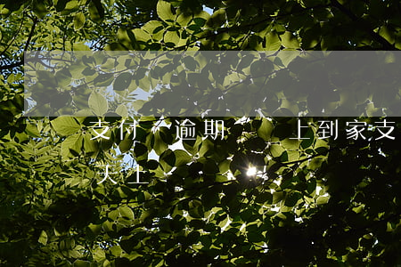 支付寶逾期說馬上到家(支付寶逾期一萬說明天上門)