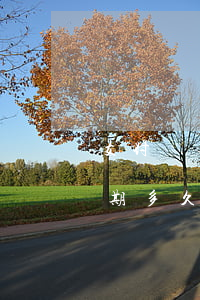 支付寶逾期調(diào)查通知(支付寶逾期多久上門調(diào)查)