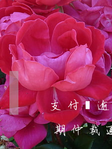支付寶逾期調(diào)解通知（支付寶逾期仲裁通知）