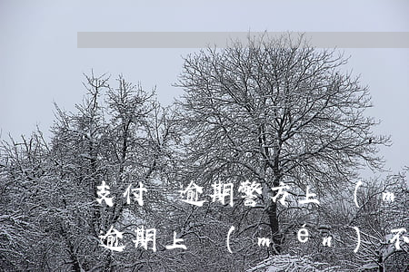 支付寶逾期警方上門(mén)處理(支付寶逾期上門(mén)不)