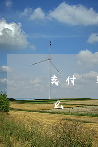 支付寶逾期警方處理 支付寶逾期立案之后怎么辦