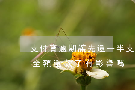 支付寶逾期讓先還一半(支付寶第一次逾期,但全額還款了,有影響嗎)