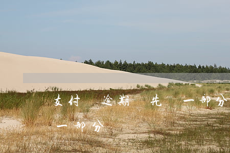 支付寶逾期讓先還一部分(支付寶逾期讓先還一部分)