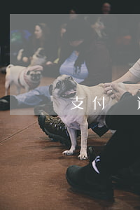 支付寶逾期讓全還(支付寶逾期了讓全部歸還)