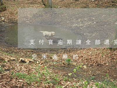 支付寶逾期讓全部還完-支付寶把逾期的還完未逾期的