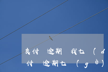 支付寶逾期讓我七點(diǎn)還上-支付寶逾期七個(gè)月打電話說(shuō)已經(jīng)起訴我了,還款通道關(guān)閉