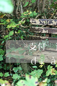 支付寶逾期讓我回老家協(xié)助調(diào)查-支付寶逾期讓我回老家協(xié)助調(diào)查是真的嗎