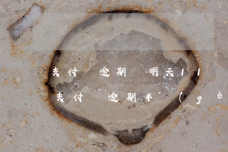 支付寶逾期讓明天11點(diǎn)還款(支付寶逾期半個(gè)月打電話催要24小時(shí)內(nèi)還款)