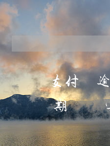 支付寶逾期讓簽字確認(rèn)(支付寶逾期讓簽字確認(rèn)怎么辦)