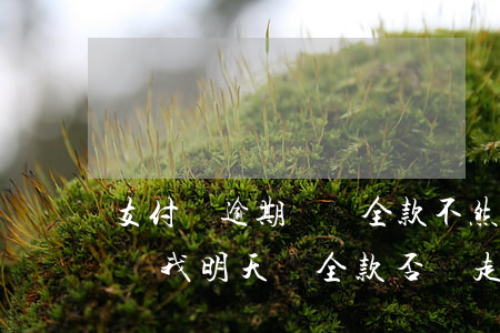 支付寶逾期讓還全款不然就起訴 支付寶逾期讓我明天還全款否則走司法程序