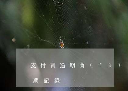 支付寶逾期負(fù)面記錄-支付寶有逾期記錄