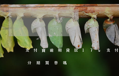 支付寶逾期貸款17u(支付寶逾期貸款可以分期買車嗎)