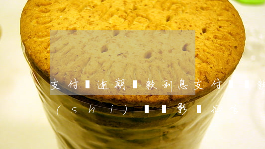 支付寶逾期貸款利息(支付寶貸款逾期多長時(shí)間會影響征信)