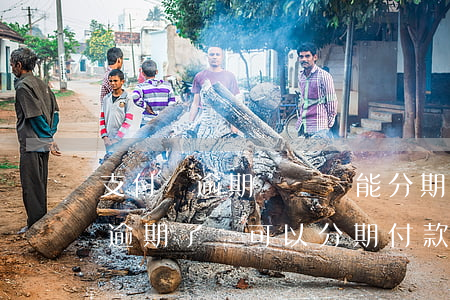 支付寶逾期賬單還能分期還款嗎(支付寶花唄逾期了還可以分期付款嗎)