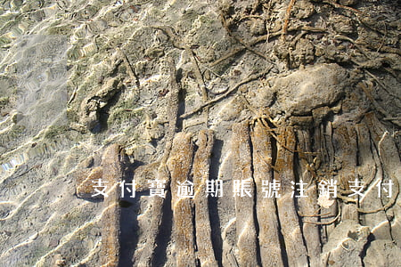 支付寶逾期賬號注銷(支付寶逾期能注銷嗎)