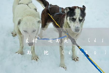 支付寶逾期走訪調(diào)查（支付寶逾期實地調(diào)查）