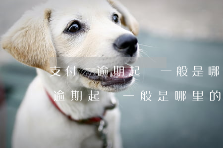 支付寶逾期起訴一般是哪里的法院-支付寶逾期起訴一般是哪里的法院受理