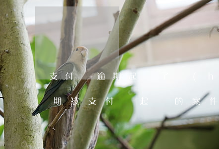 支付寶逾期起訴了會(huì)怎么判決（逾期被支付寶起訴的案件）