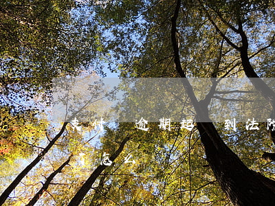 支付寶逾期起訴到法院 支付寶逾期提起訴訟了怎么辦