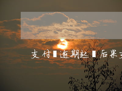 支付寶逾期起訴后果(支付寶逾期起訴案件)