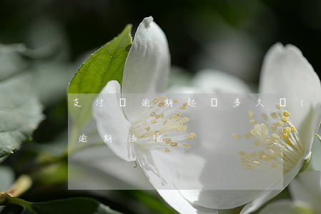 支付寶逾期起訴多久開(kāi)庭 支付寶逾期法院