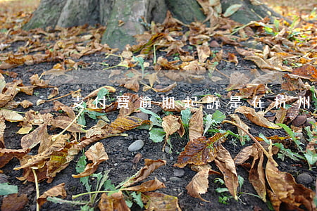 支付寶逾期起訴是在杭州法院嗎-