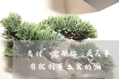 支付寶逾期起訴是民事還是刑事(支付寶逾期有被刑事立案的嘛)