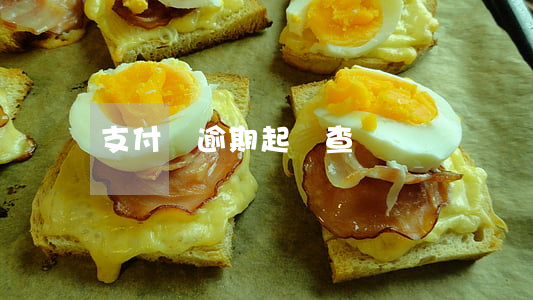 支付寶逾期起訴查詢