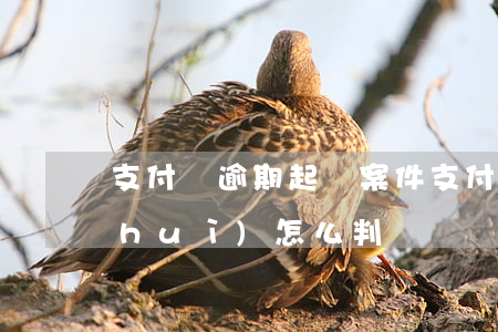 支付寶逾期起訴案件(支付寶逾期起訴了會(huì)怎么判決)