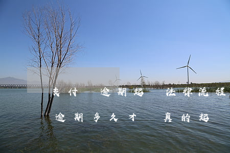 支付寶逾期起訴法律流程要多久(支付寶一般逾期多久才會真的起訴)