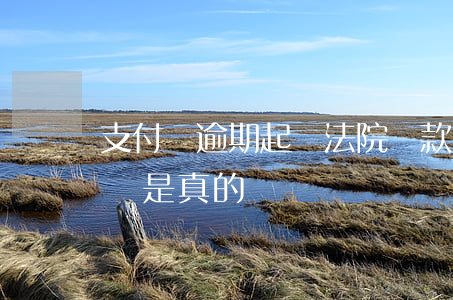支付寶逾期起訴法院罰款(支付寶逾期法院起訴是真的嗎)