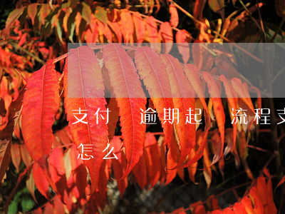 支付寶逾期起訴流程(支付寶逾期提起訴訟了怎么辦)