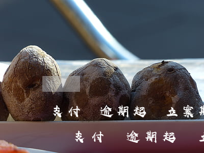 支付寶逾期起訴立案期間還款還有交訴訟費嗎（支付寶逾期起訴立案）