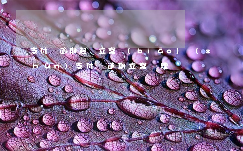 支付寶逾期起訴立案標(biāo)準(zhǔn)（支付寶逾期立案處理）