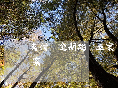 支付寶逾期起訴立案標準（支付寶逾期多少立案）