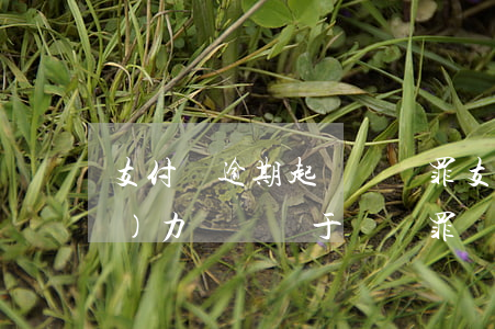 支付寶逾期起訴詐騙罪(支付寶逾期無(wú)力償還屬于詐騙罪嗎)