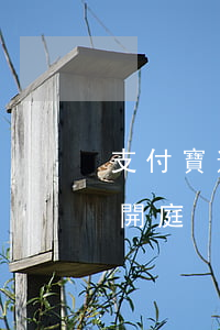 支付寶逾期起訴開庭不參加 支付寶起訴多久開庭